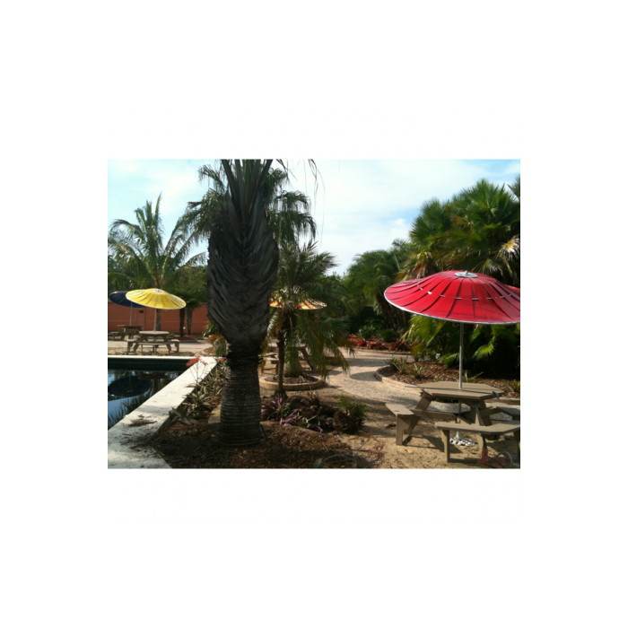 The 701 Aluminum Solid Vane Umbrella