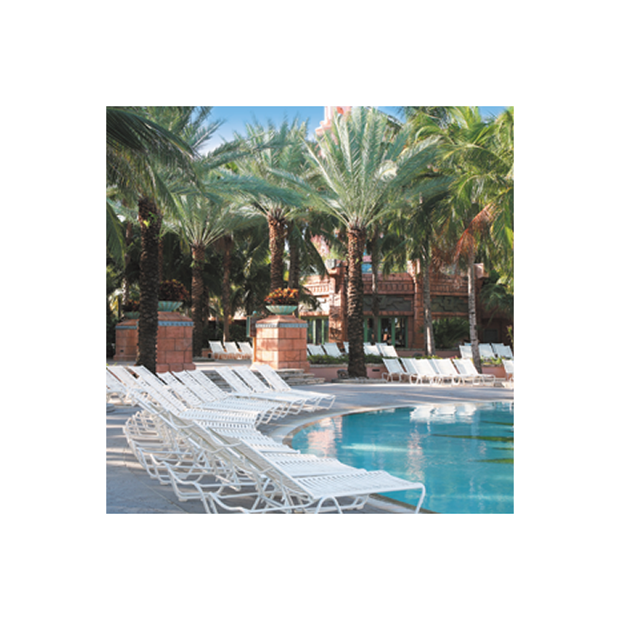 Millenia EZ SPAN Chaise Lounge